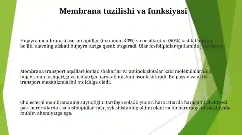 Membrana buzilishlar va apoptoz/nekroz mexanizmlari 3