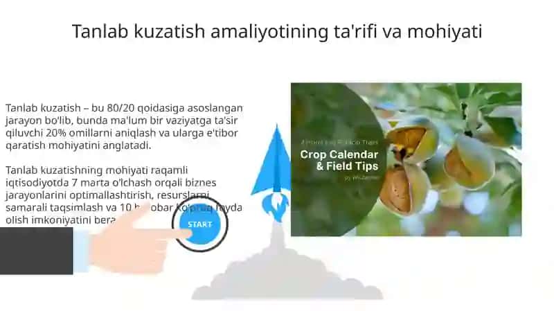 Raqamli iqtisodiy sharoitida tanlanma kuzatishni qoʻllash amaliyoti 3