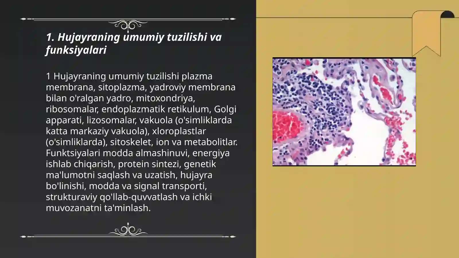 Hujayra va toʻqimalarning tuzilishi va ahamiyati 3