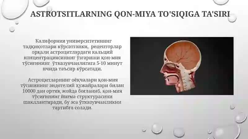Gematoensefalik toʻsiq gistofizialogiyasi 3