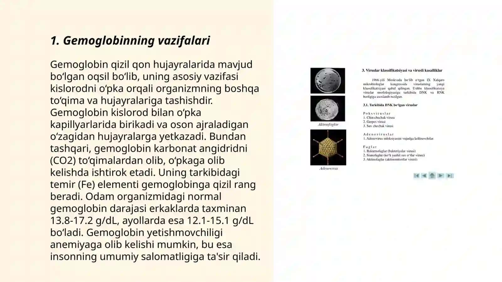 Gemoglobin va uning turlari. Leykositlar, tibbiyotdagi axamiyati 3