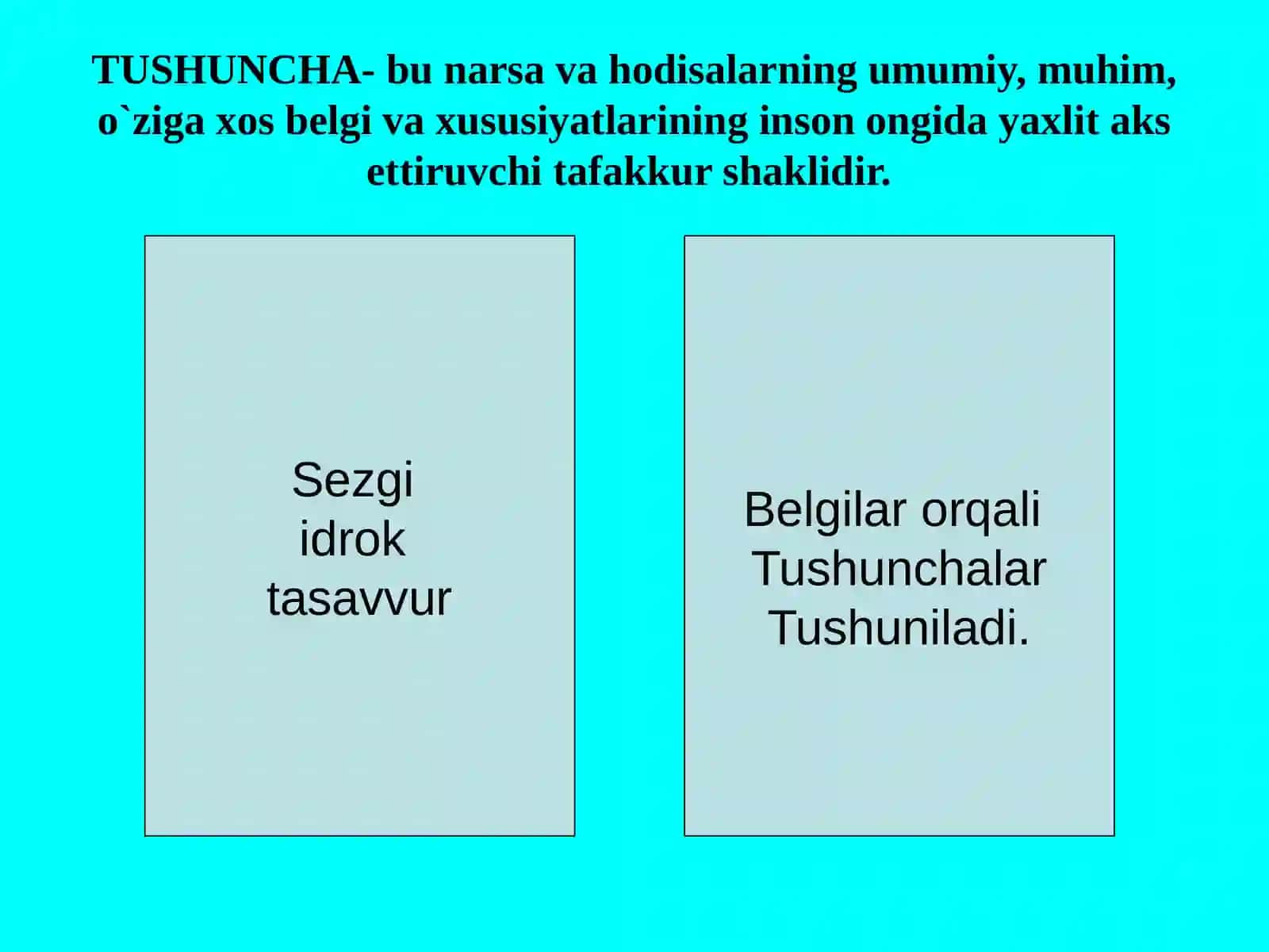 «FАLSАFА»FАNI 3
