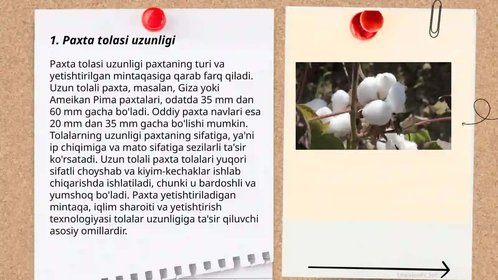 Paxta mahsulotlarining sifat koʻrsatkichlari 3