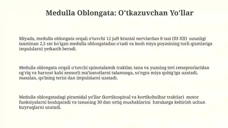 Medulla Oblongata: O'tkazuvchan Yo'llar 3