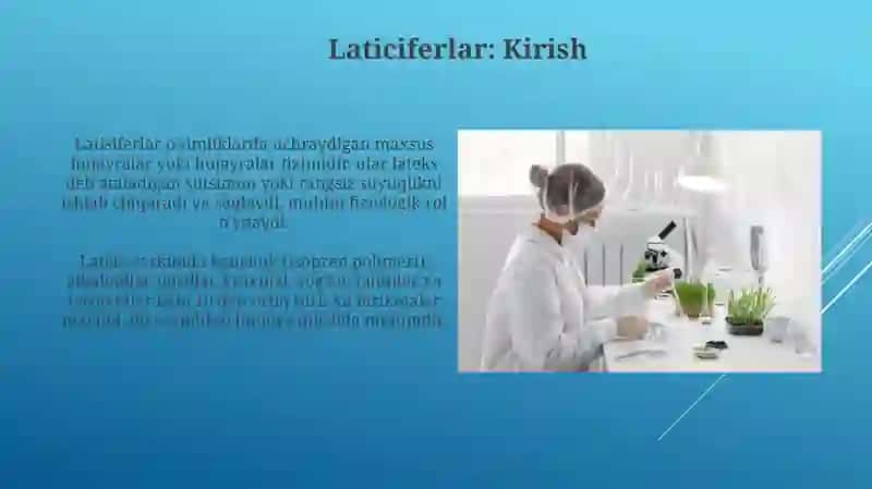 O'simliklarda Laktiferlarni Mikroskop Ostida Kuzatish 3