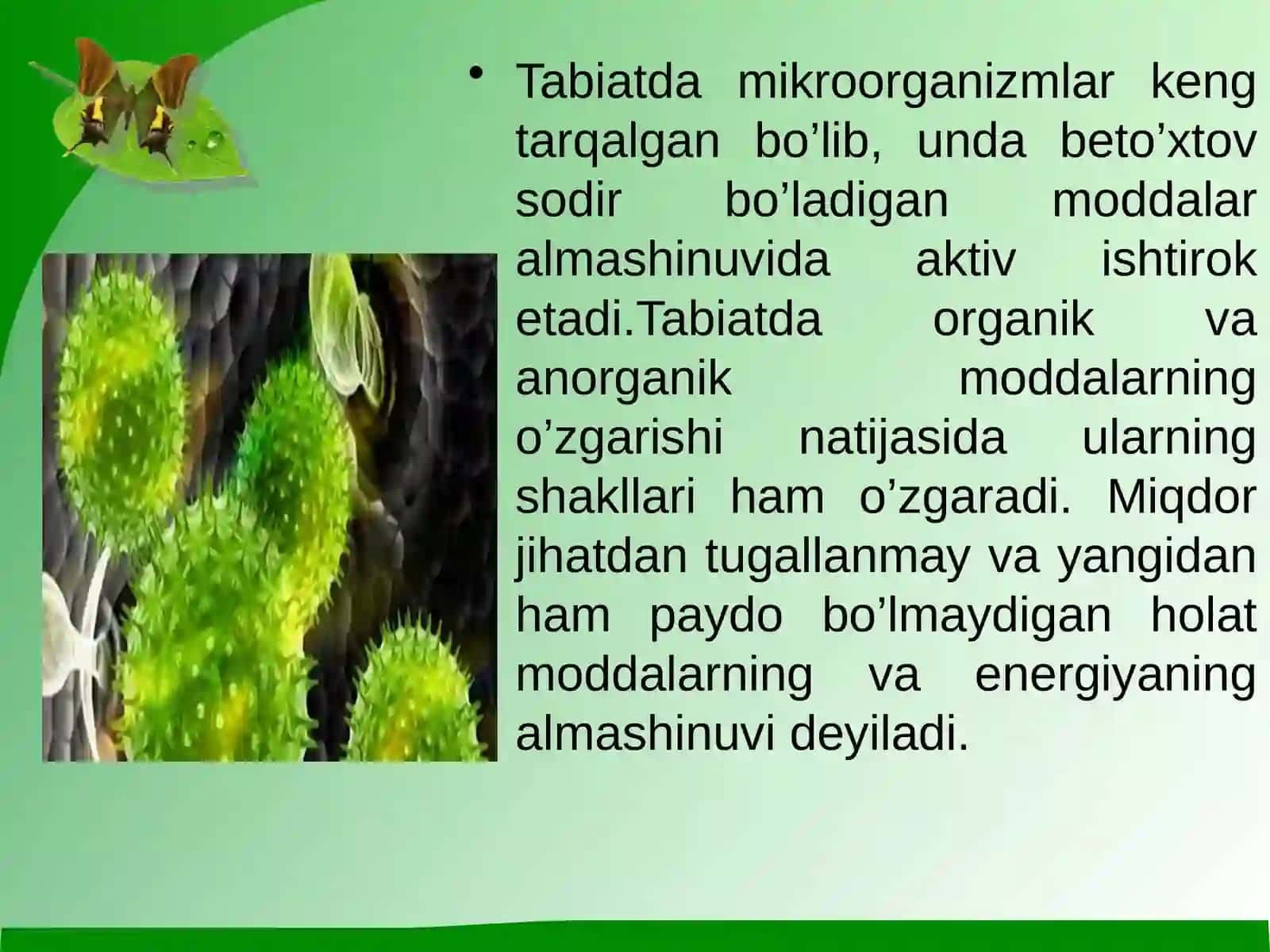 Mikroorganizmlarning tabiatda moddalar almashinuvidagi roli 3