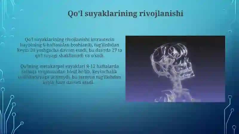 Qo'l Suyaklarining Anatomiyasi 3
