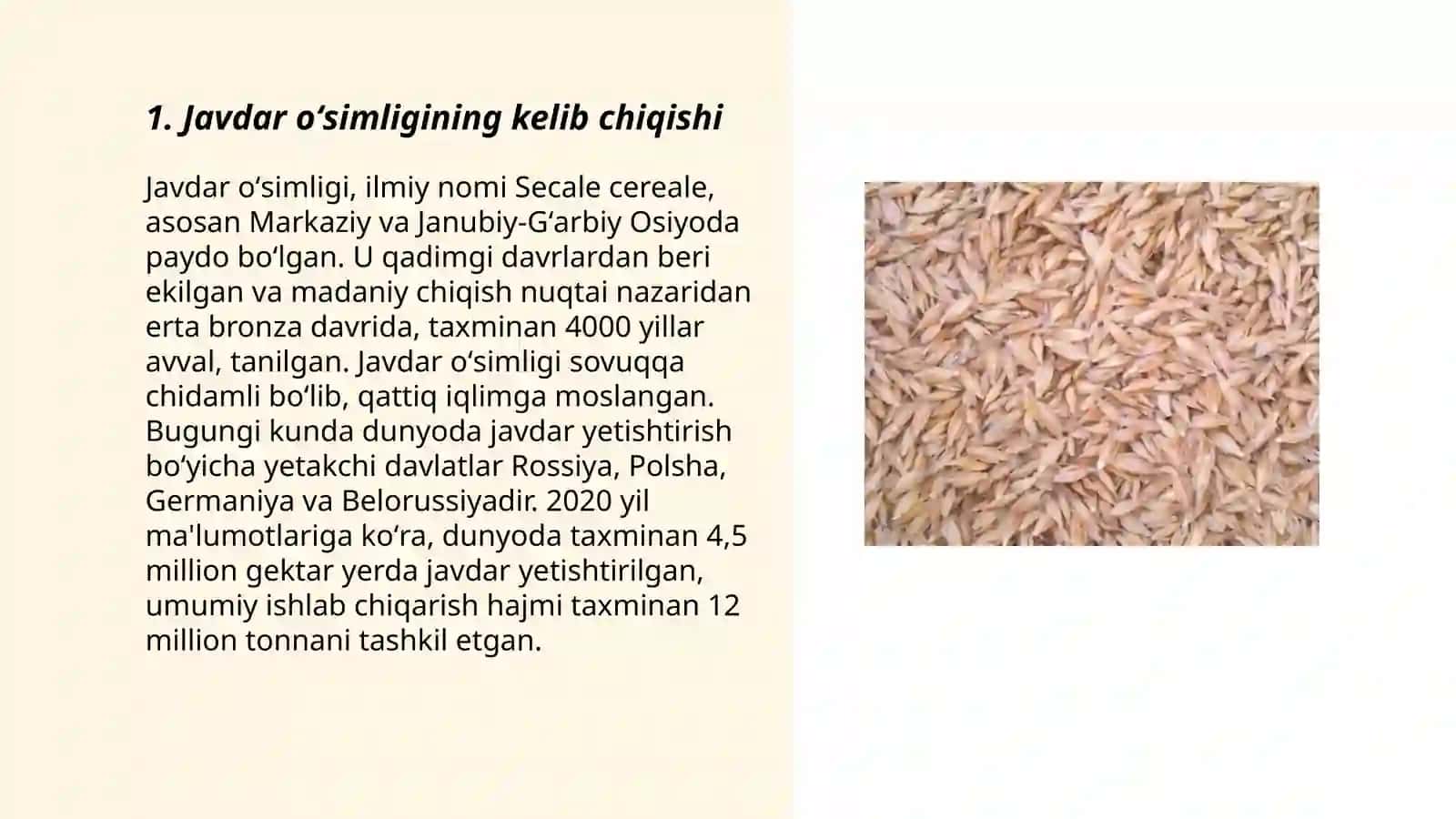 Javdar oʻsimligi 3
