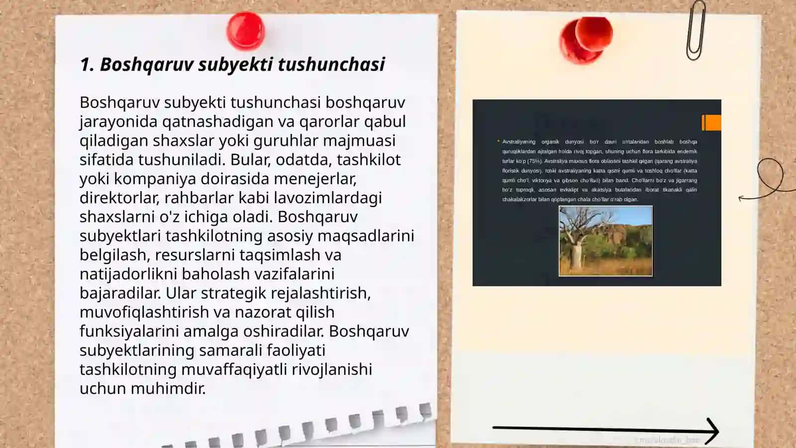 Boshqaruv subyekti va tabiati. Menedjment funksiyalari 3