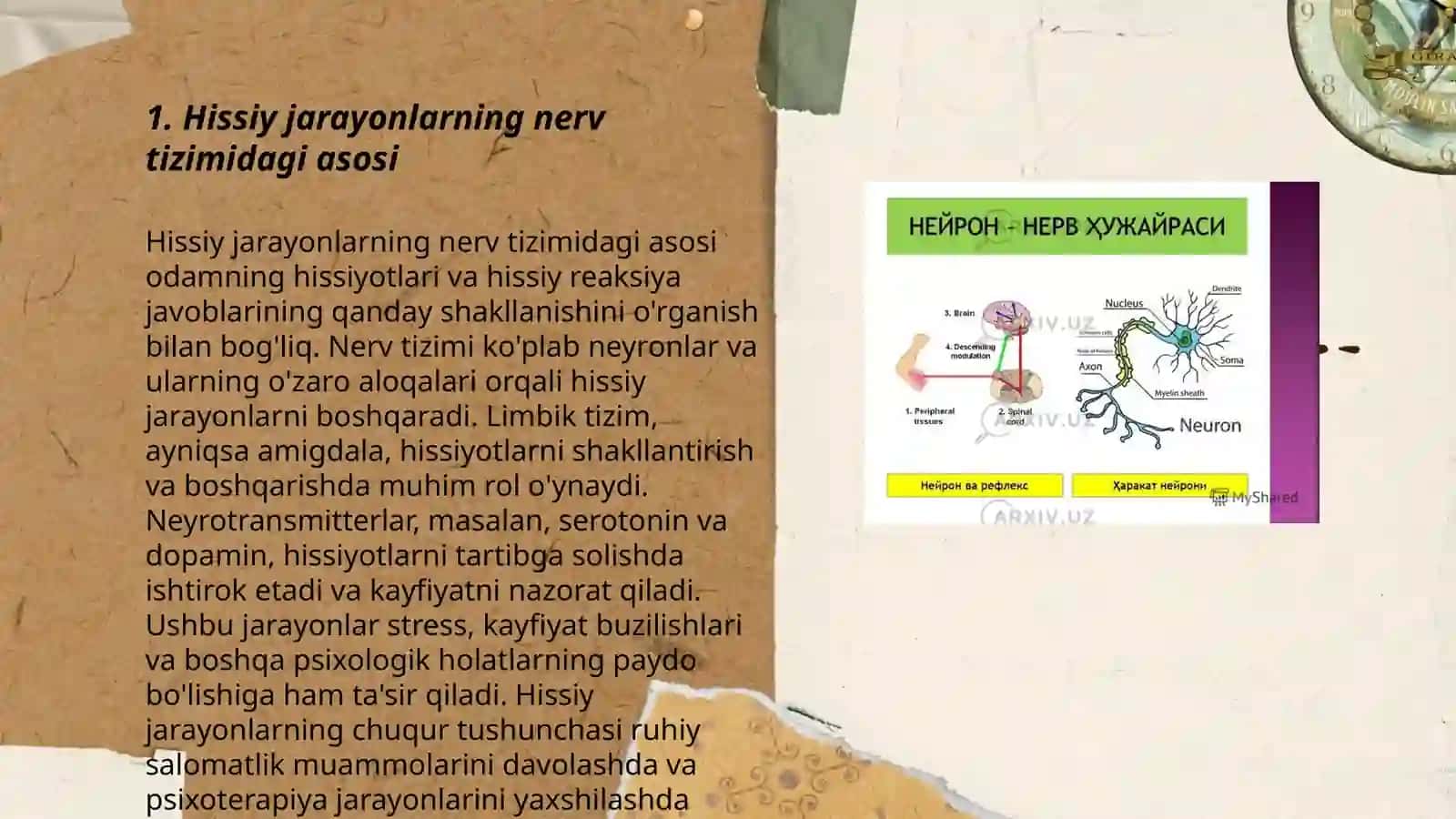 Shaxsning hissiy va itodaviy sohasining nerv-fiziologik asosi 3