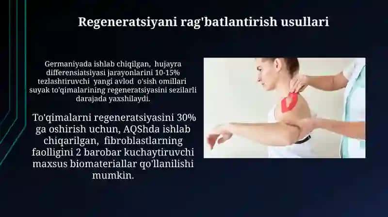 Tòqimalarning fiziologik va reperativ regereratsiyasi 3