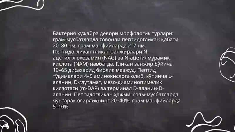 Бактерия хужайрасининг тузилиши ва кимёвий таркиби олчамлари 3