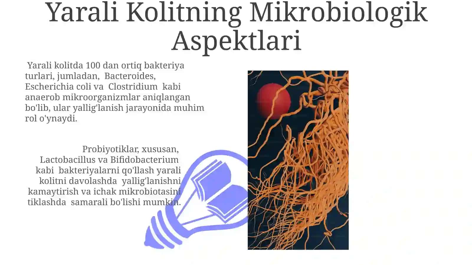 Yarali Kolitning Mikrobiologik Aspektlari 3
