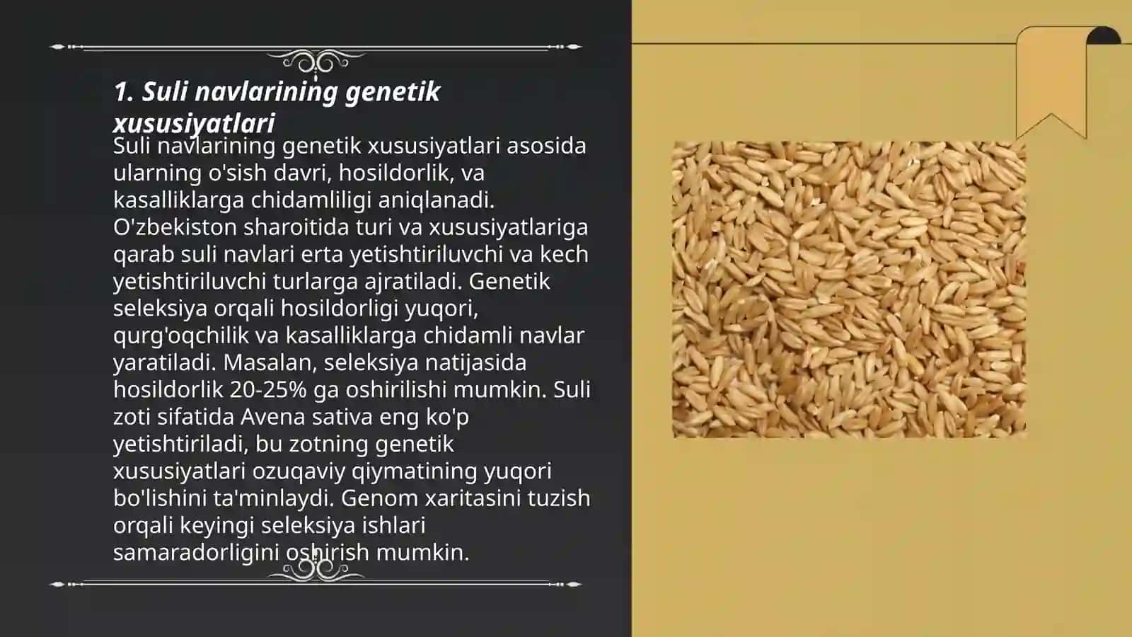 Xozirda davlat nav sinovida oʻrganilayotgan suli navlari va ularni hoʻjalik belgilari 3