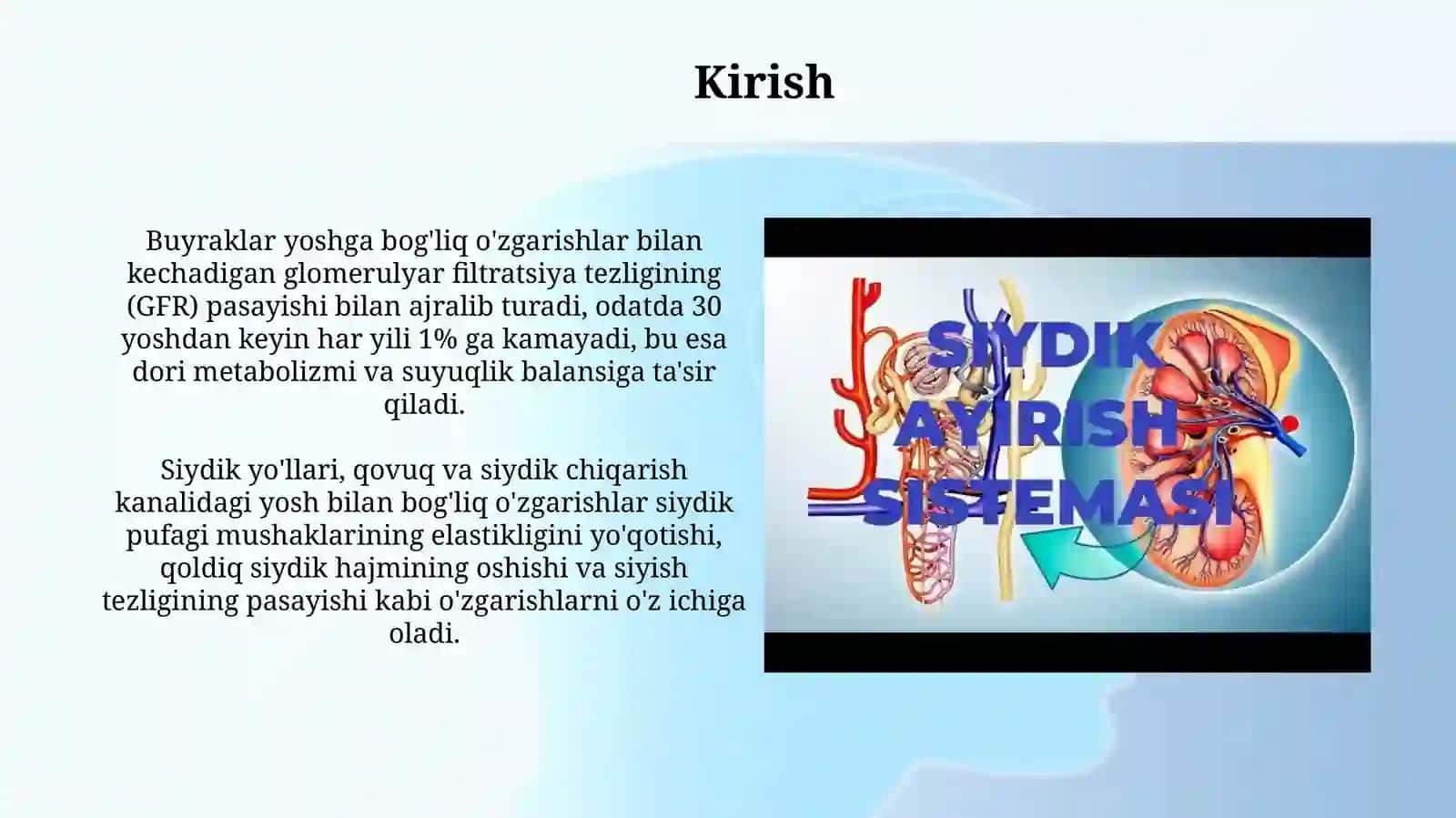 Buyrak,siydikyoʻli,qovuq,siydikchiqarishkanalivaularningyoshgaqaraboʻzgarishi 3