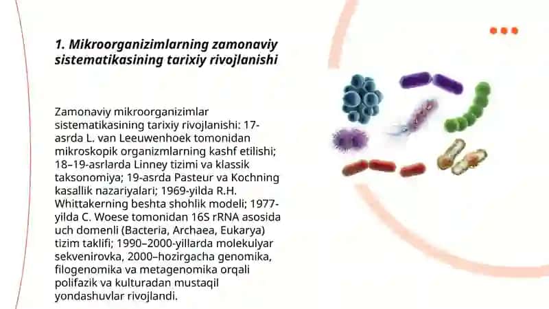 Mikroorganizimlarning zamonaviy sistematikasi 3