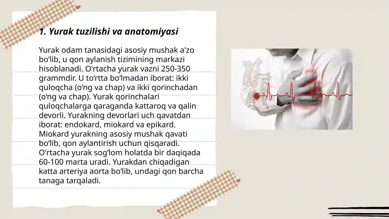 Yurak perkissiyasi palpatsiyasi va auskultatsiyasi 3