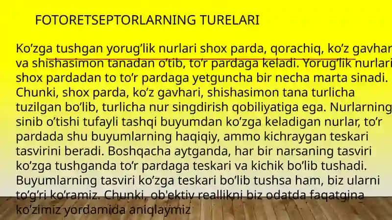 Fotoretseptor hujayralari 3