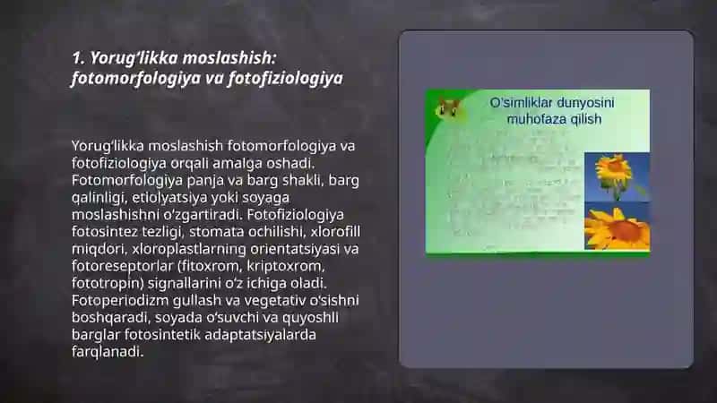 O‘simliklar ekologiyasi: muhit omillariga moslashish va o‘t o‘simliklar tasnifi 3
