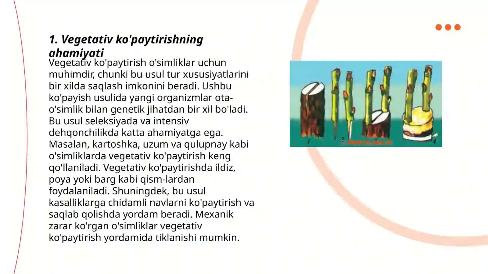 O'simliklarni vegetativ kopaytirish yollari 3