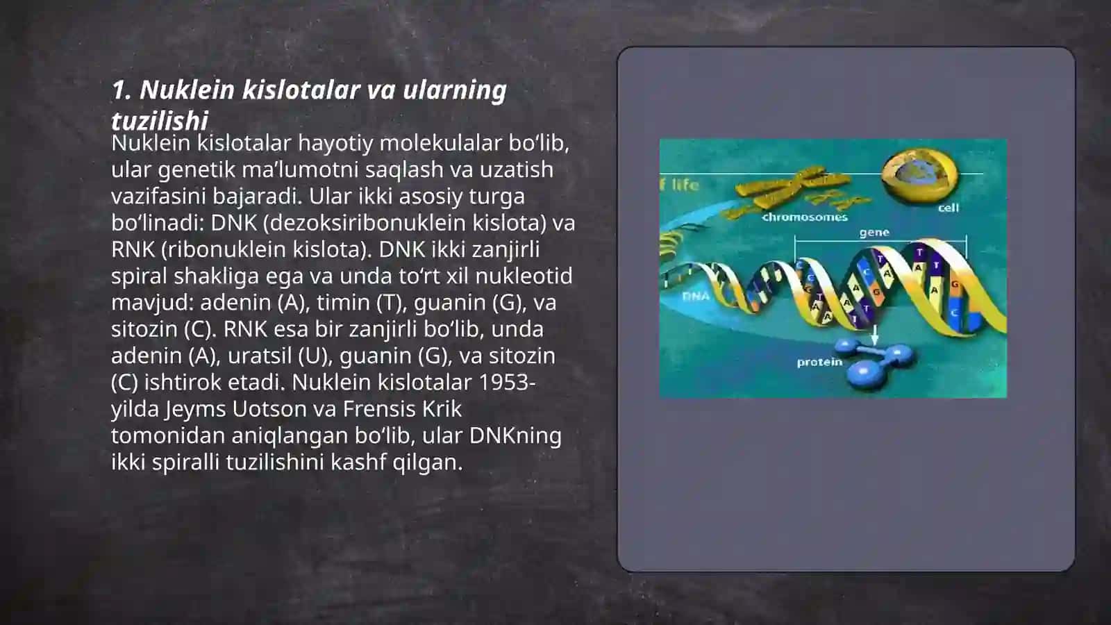 Hayotning molekulyar asoslari 3