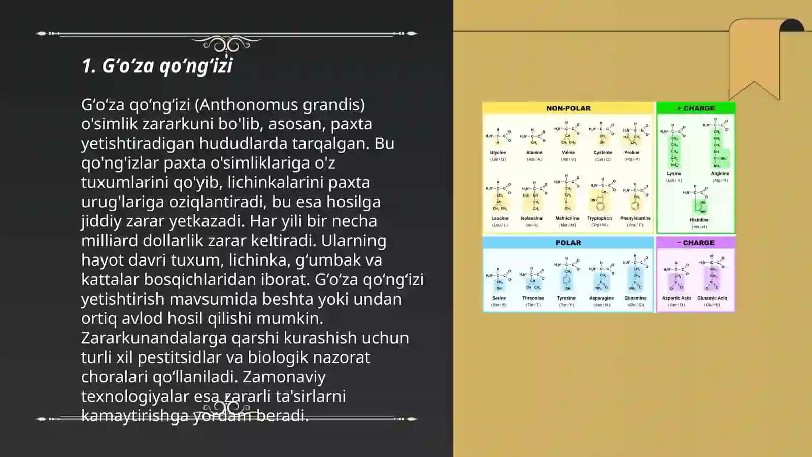 Gʻoʻzaga zarar keltiruvchi hasharotlar 3