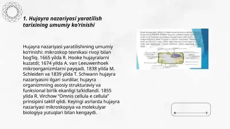 Hujayra nazariyasi yaratilish tarixi 3