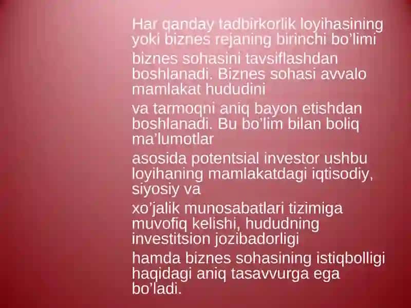 Korxona va mahsulot tavsifi 3