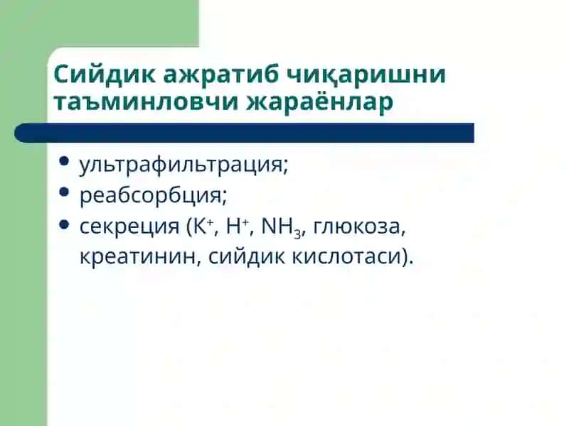 Буйраклар физиологияси 3