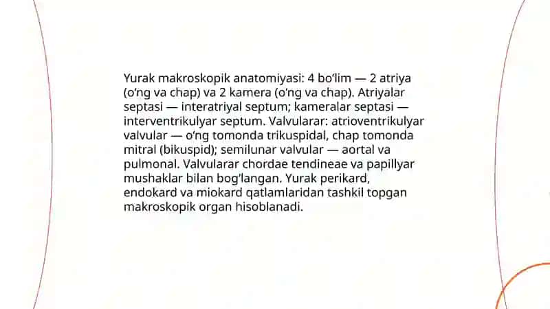 Yurak qon tomir tizimining anatomik-fiziologik oʻziga xos xususiyatlari 3