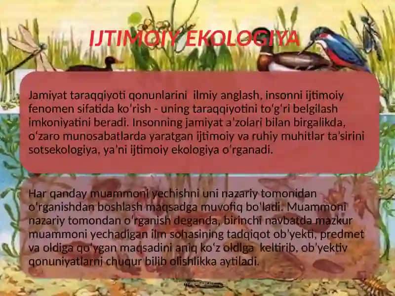 Biogeotsenoz tushunchasi 3