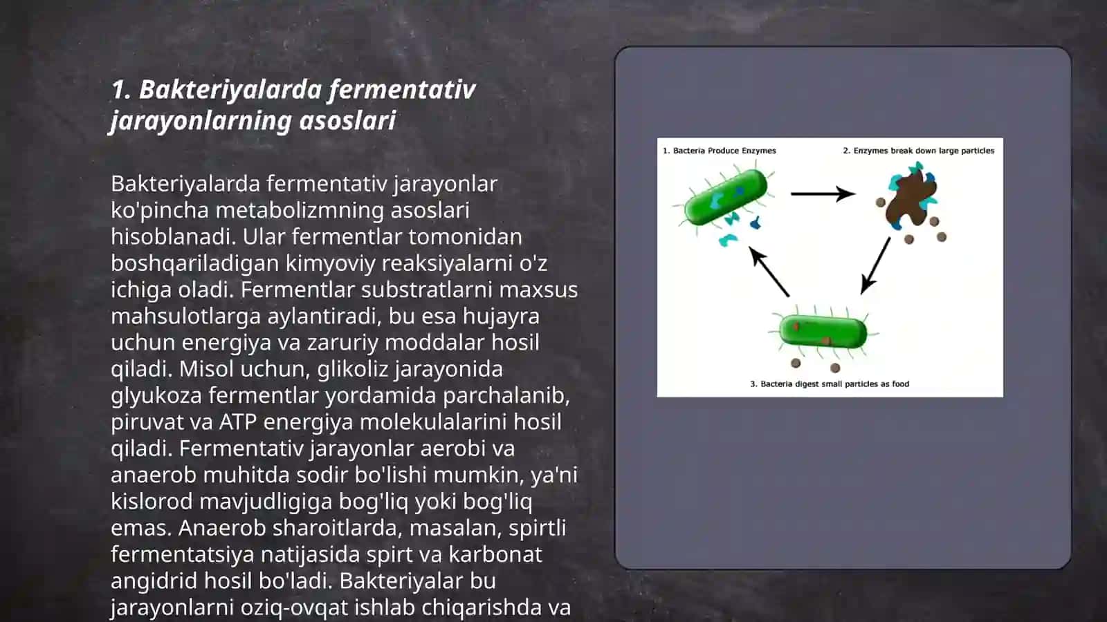 Bakteriyalarda fermentativ jarayonlar. Tashqi muhitni biologik va texnologik chiqindilar bilan ifloslanishi 3