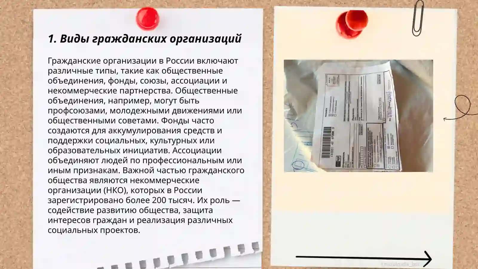 Виды гражданских организаций 3