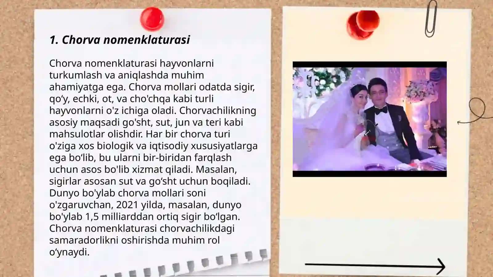 O'zbek dialektologiyasi fanidan Chorvachilikga oid leksikalar 3