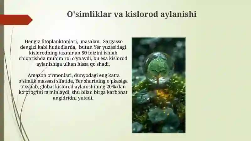 O'simliklarning inson va biosferada tutgan oʻrni va muhofazasi 3