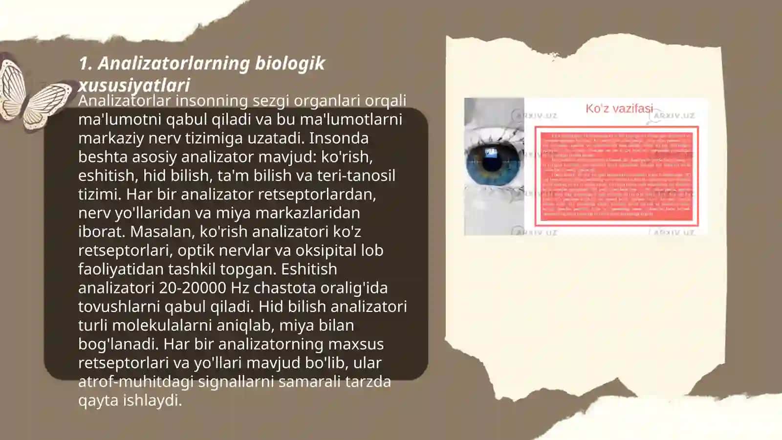 Analizatorlarning yosh xususiyatlari va gigiyenasi 3