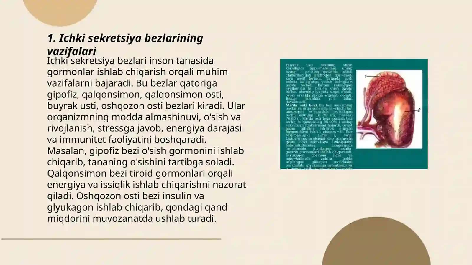 Ichki sekretsiya bezlarining yosh xususiyati va endokrin kasalliklari 3