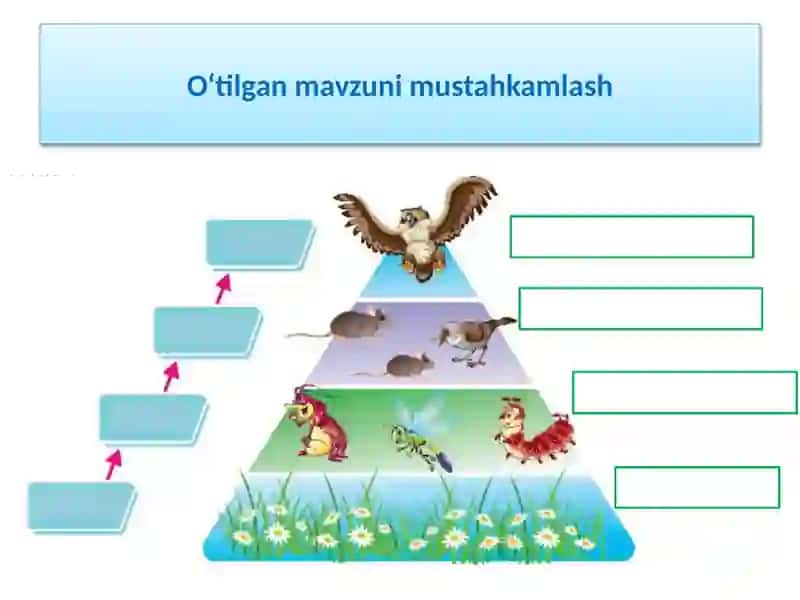 TOZA ICHIMLIK SUVINI OLISH 3