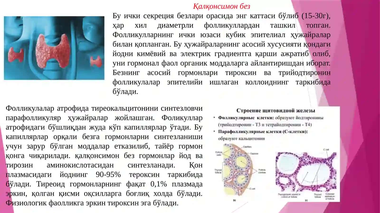 Физиология модули. Маъруза-2 3