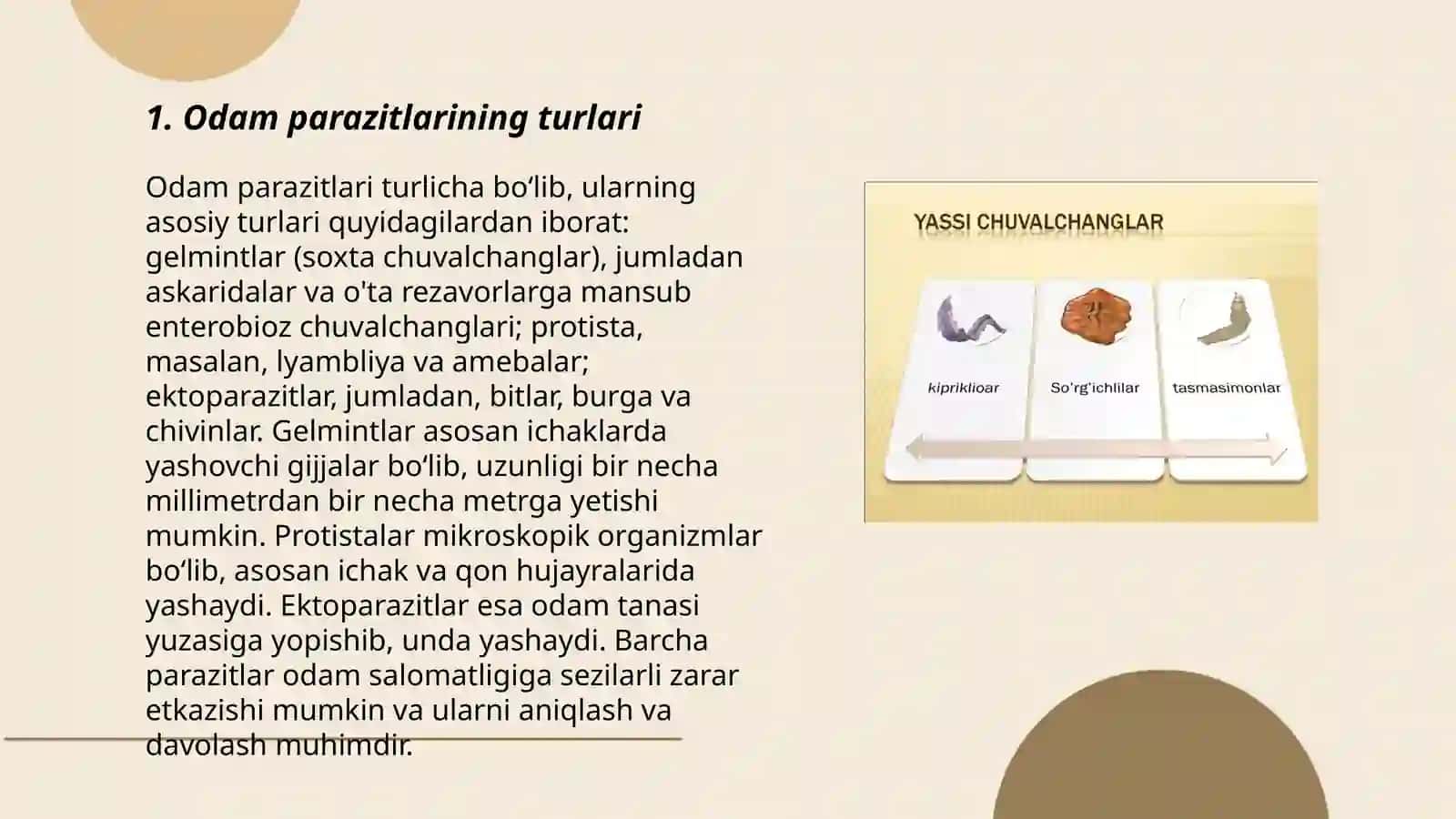 Yassi chuvalchanglar – odam parazitlari - so‘rg‘ichlilar 3