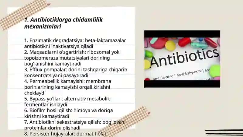 Antibiotiklarga chidamli bakteriyalar 3