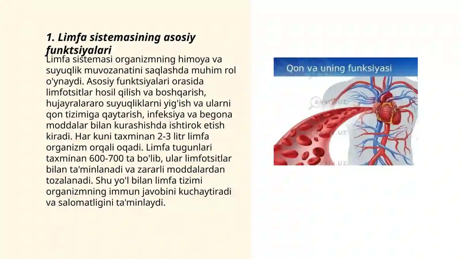 Qon depolari limfa qon o'rnini bosuvchi suyuqliklar fizologiyasi 3