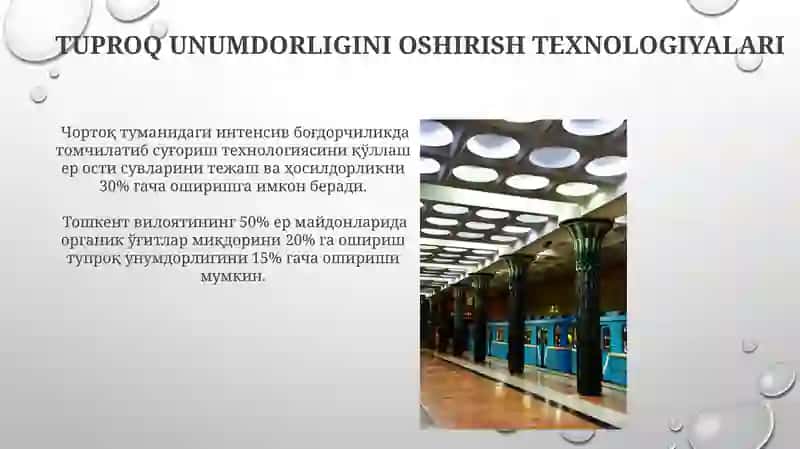 Toshkent tuproqlari 3