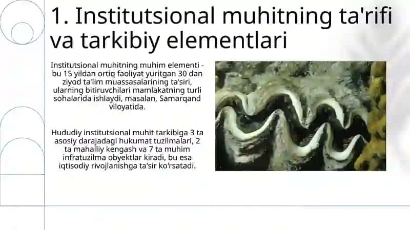 Institutlar va Institsional muhitning jamiyat rivojlanishidagi ro'li 3