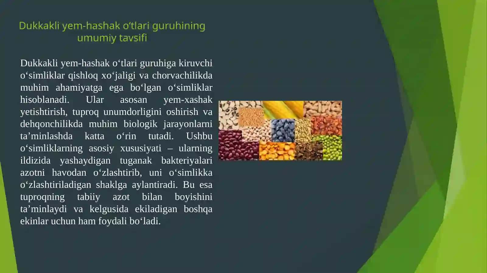 Dukkakli Yem-hashako'tlar Guruhining Umumiy Marfologik Belgilari 3