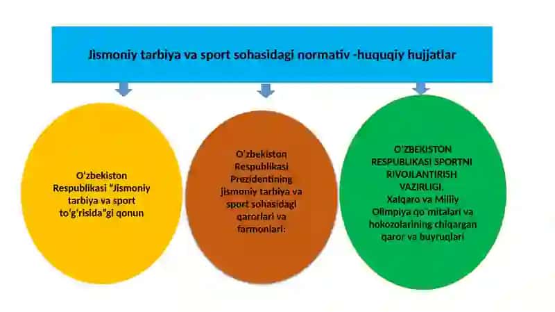 Jismoniy tarbiya va sport qonun hujjatlari 3