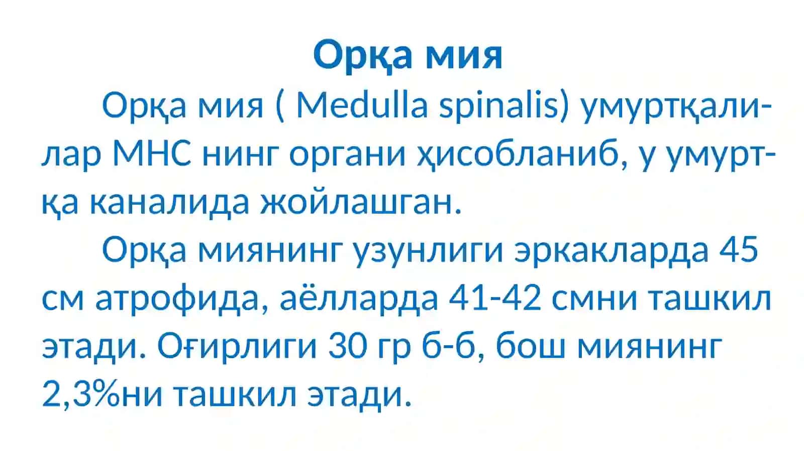 Orqa miya, uzunchoq miya va vegetativ nerv tizimi fiziologiyasi 3