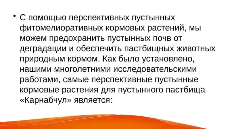 Пустынные пастбища Узбекистана 3