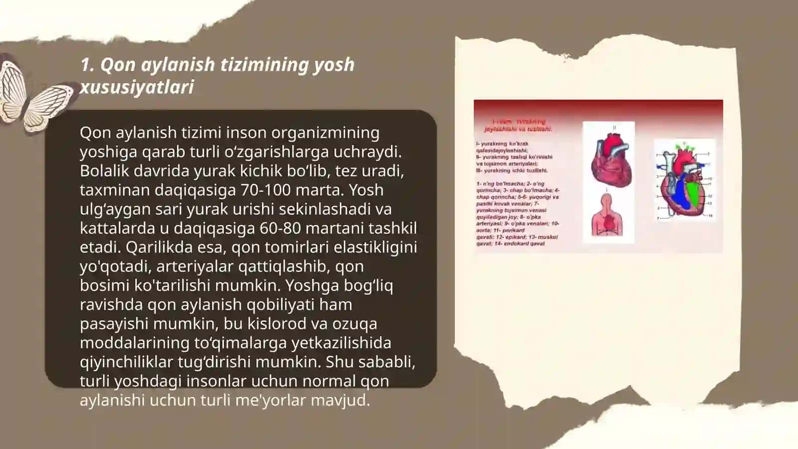 Qon aylanish tizimi yosh xususiyatlari va gigiyenasi 3