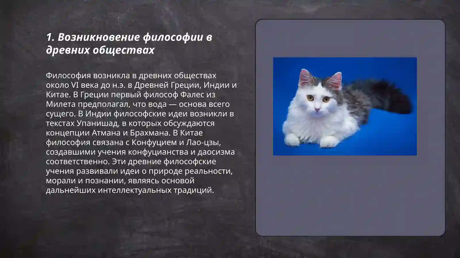 Общественно - исторический характер философии 3